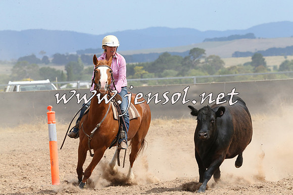 BraidwoodCampdraft2014_1504