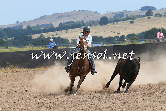 BraidwoodCampdraft2014_1498