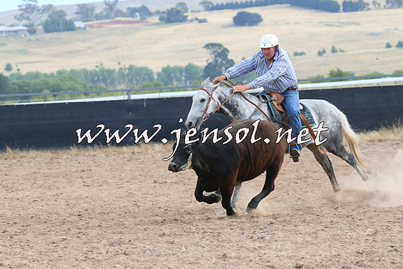 BraidwoodCampdraft2014_1584