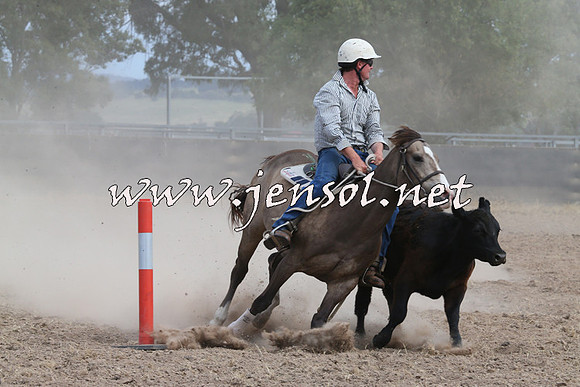 BraidwoodCampdraft2014_1551