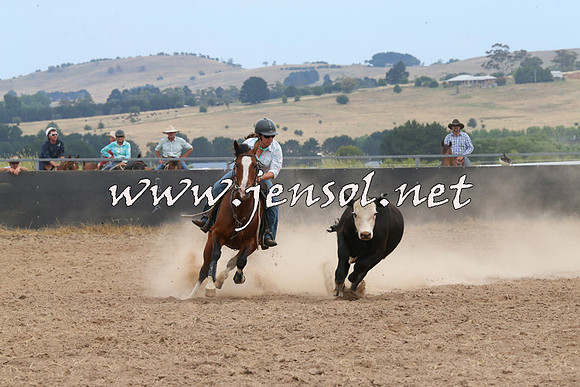 BraidwoodCampdraft2014_1384