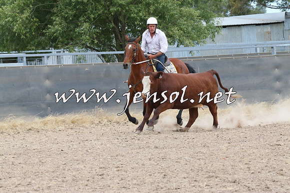 BraidwoodCampdraft2014_1455