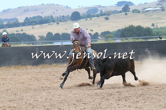 BraidwoodCampdraft2014_1423