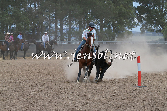 BraidwoodCampdraft2014_1386