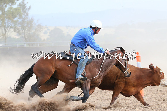 BraidwoodCampdraft2014_1600