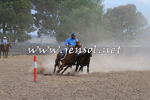 BraidwoodCampdraft2014_1558