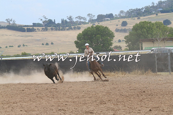 BraidwoodCampdraft2014_1491