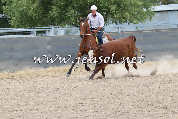 BraidwoodCampdraft2014_1453