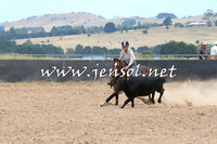 BraidwoodCampdraft2014_1361