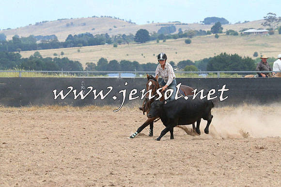 BraidwoodCampdraft2014_1361