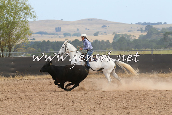 BraidwoodCampdraft2014_1540