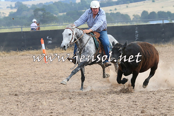 BraidwoodCampdraft2014_1579