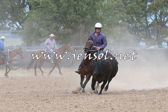 BraidwoodCampdraft2014_1326