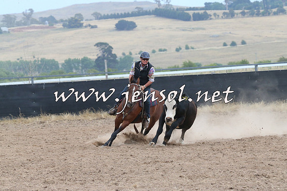 BraidwoodCampdraft2014_1458