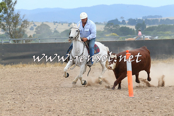BraidwoodCampdraft2014_1395