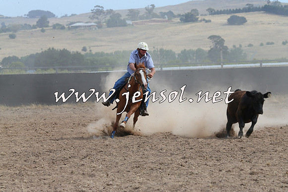 BraidwoodCampdraft2014_1527