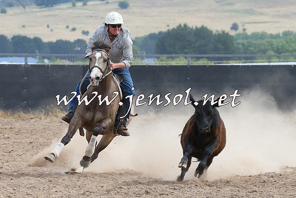 BraidwoodCampdraft2014_1542
