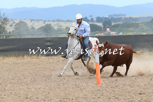 BraidwoodCampdraft2014_1399