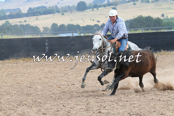 BraidwoodCampdraft2014_1582