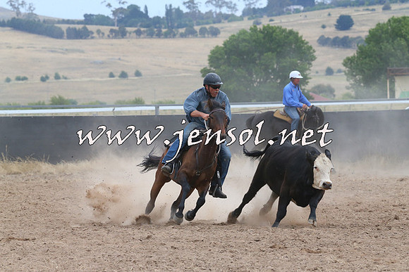 BraidwoodCampdraft2014_1429