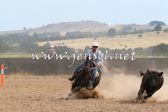 BraidwoodCampdraft2014_1537