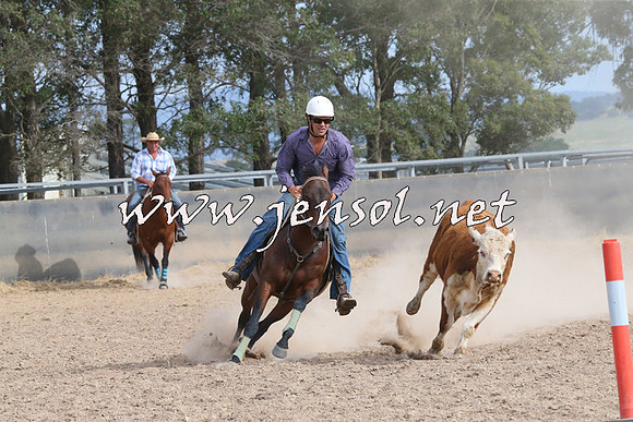 BraidwoodCampdraft2014_1607