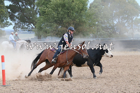 BraidwoodCampdraft2014_1472