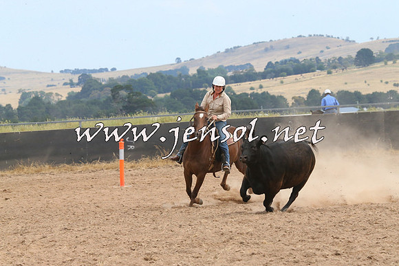 BraidwoodCampdraft2014_1487