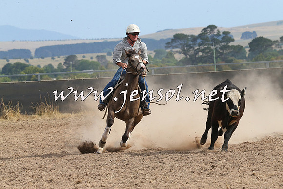 BraidwoodCampdraft2014_1643