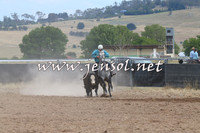 BraidwoodCampdraft2014_1346