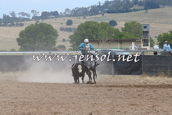 BraidwoodCampdraft2014_1346