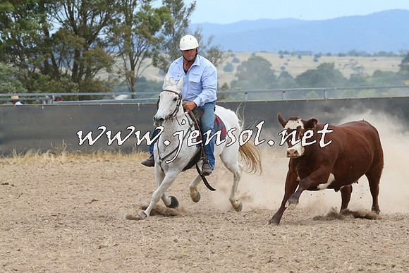 BraidwoodCampdraft2014_1394