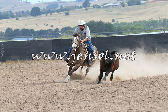 BraidwoodCampdraft2014_1543