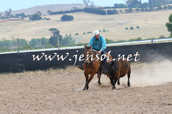 BraidwoodCampdraft2014_1571