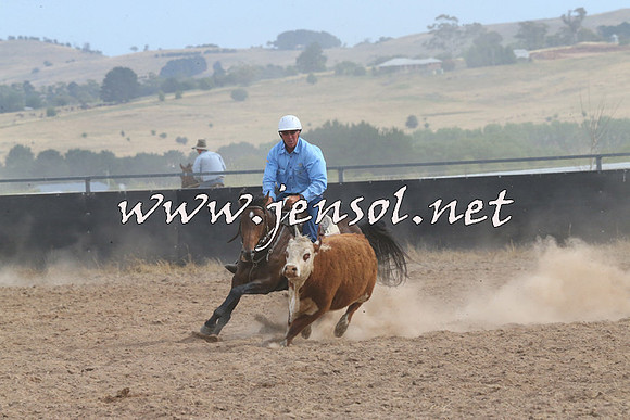 BraidwoodCampdraft2014_1585