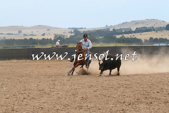 BraidwoodCampdraft2014_1440
