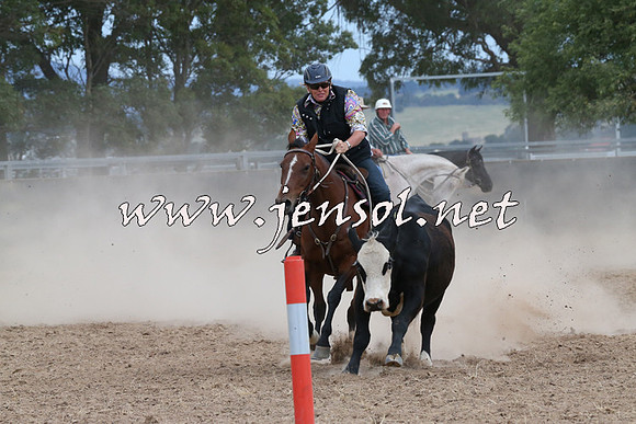 BraidwoodCampdraft2014_1465