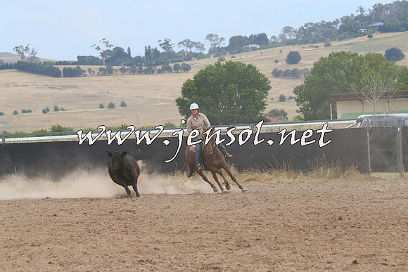 BraidwoodCampdraft2014_1489