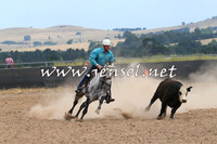 BraidwoodCampdraft2014_1336