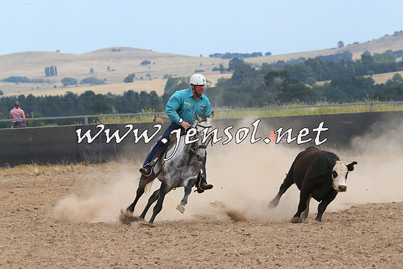 BraidwoodCampdraft2014_1336