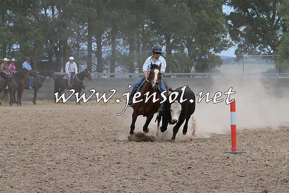 BraidwoodCampdraft2014_1390