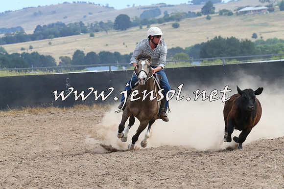 BraidwoodCampdraft2014_1545