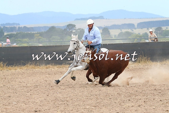 BraidwoodCampdraft2014_1396