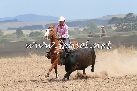 BraidwoodCampdraft2014_1511