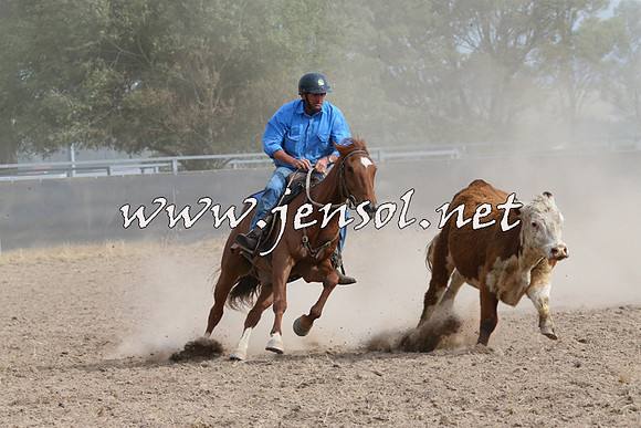 BraidwoodCampdraft2014_1631