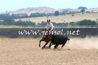 BraidwoodCampdraft2014_1360