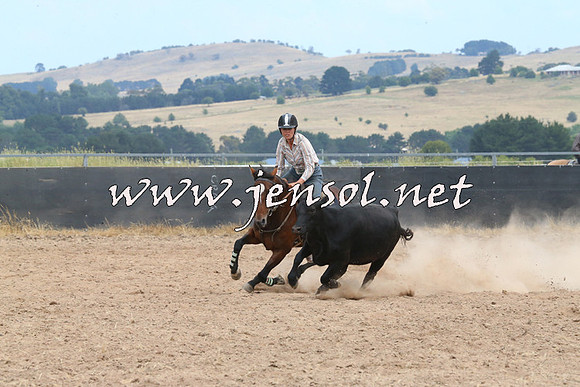 BraidwoodCampdraft2014_1360