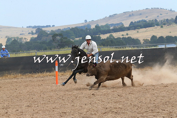 BraidwoodCampdraft2014_1475