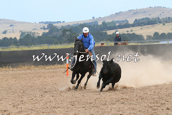 BraidwoodCampdraft2014_1402