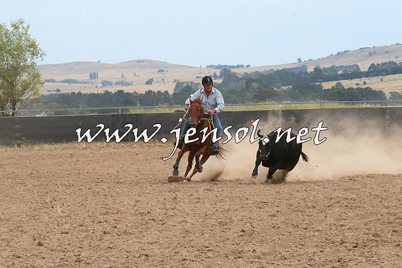 BraidwoodCampdraft2014_1445